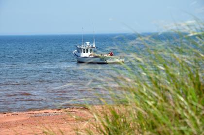 Occasionally a boat will appear.