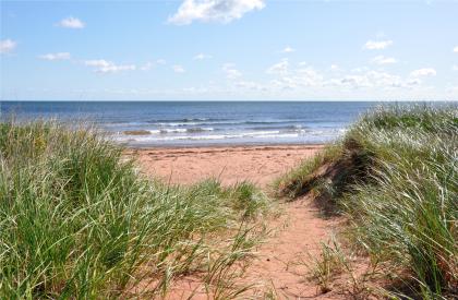 The beach is just steps from the cottage.